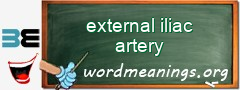 WordMeaning blackboard for external iliac artery